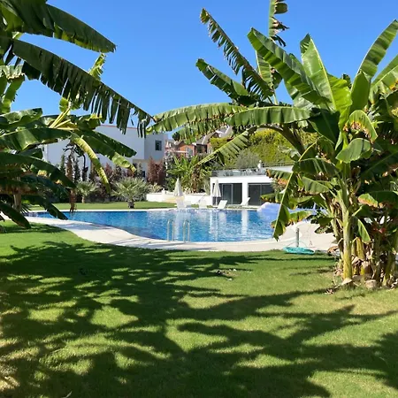 Yalcin Poolfloor